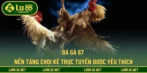 Đá Gà 67