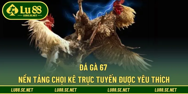 Đá Gà 67