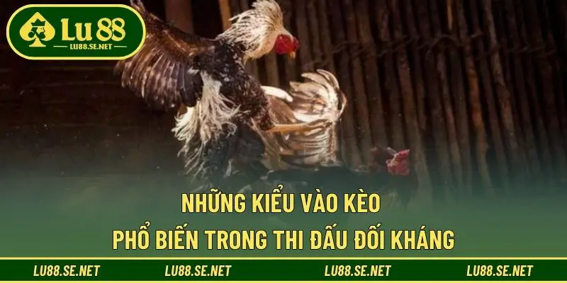 Những kiểu vào kèo phổ biến trong thi đấu đối kháng