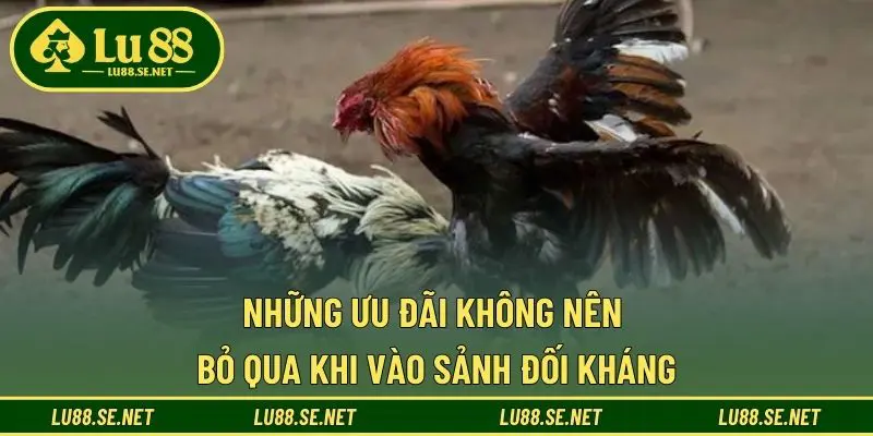 Những ưu đãi không nên bỏ qua khi vào sảnh đối kháng