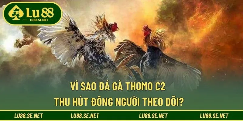 Giải đấu được cộng đồng quan tâm hàng đầu