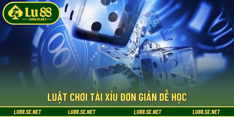 Hiểu rõ luật để đặt cược thông minh hơn