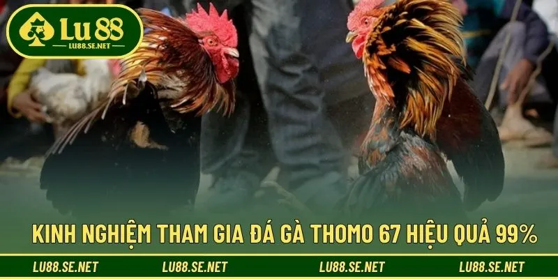 Mẹo giúp nâng cao khả năng chiến thắng