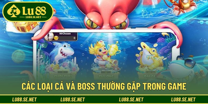 Nhận biết mục tiêu giúp tăng hiệu quả bắn và đổi thưởng