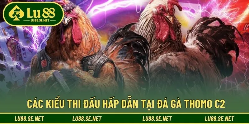 Nhiều hình thức thi đấu cuốn hút tại đấu trường đá gà C2