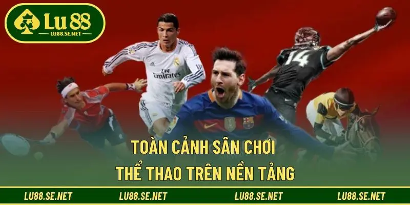 Toàn cảnh sân chơi thể thao trên nền tảng